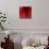 Red Amaryllis Abstract-Anna Miller-Mounted Photographic Print displayed on a wall