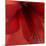 Red Amaryllis Abstract-Anna Miller-Mounted Photographic Print