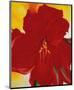 Red Amaryllis, c.1937-Georgia O'Keeffe-Mounted Art Print