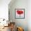 Red Amaryllis-Christopher Ryland-Framed Giclee Print displayed on a wall