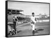 Red Ames, NY Giants, Baseball Photo - New York, NY-Lantern Press-Framed Stretched Canvas