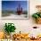 Red Anchor, Lost Seaman Memorial, Aruba-George Oze-Framed Photographic Print displayed on a wall