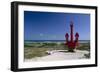 Red Anchor, Lost Seaman Memorial, Aruba-George Oze-Framed Photographic Print