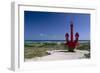 Red Anchor, Lost Seaman Memorial, Aruba-George Oze-Framed Photographic Print