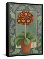 Red and black primula-Jennifer Abbott-Framed Stretched Canvas