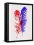 Red and Blue Feathers-Jensen Adamsen-Framed Stretched Canvas