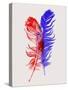 Red and Blue Feathers-Jensen Adamsen-Stretched Canvas