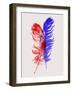 Red and Blue Feathers-Jensen Adamsen-Framed Art Print