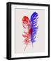 Red and Blue Feathers-Jensen Adamsen-Framed Art Print