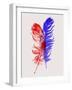Red and Blue Feathers-Jensen Adamsen-Framed Art Print