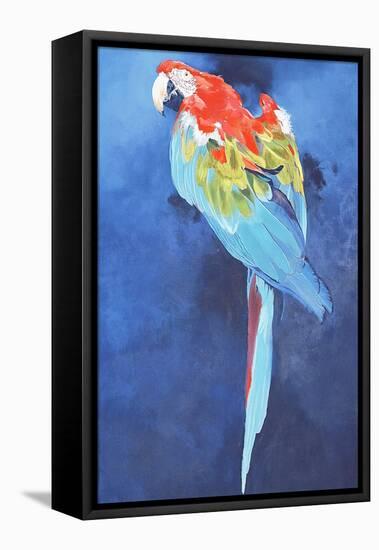 Red and Blue Macaw, 2002-Odile Kidd-Framed Stretched Canvas