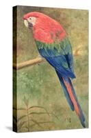 Red and Blue Macaw (W/C Heightened with White on Paper)-Henry Stacey Marks-Stretched Canvas