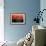Red and Blue-David Studwell-Framed Giclee Print displayed on a wall