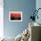 Red and Blue-David Studwell-Framed Giclee Print displayed on a wall