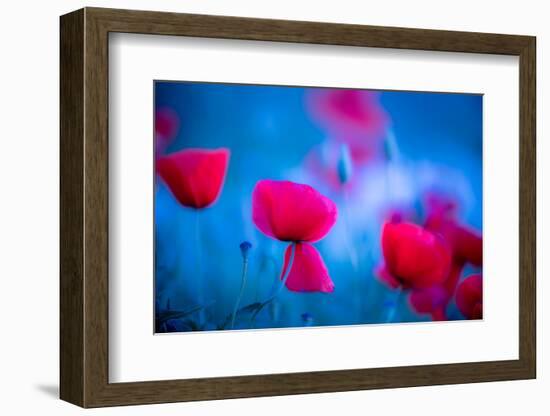 Red and blue-Marco Carmassi-Framed Photographic Print