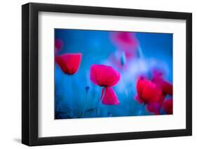 Red and blue-Marco Carmassi-Framed Photographic Print