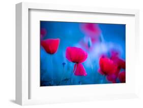 Red and blue-Marco Carmassi-Framed Photographic Print