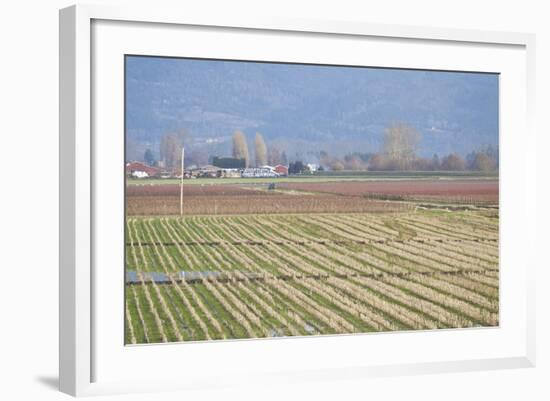 Red and Gold Fields I-Dana Styber-Framed Photographic Print
