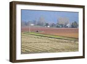 Red and Gold Fields II-Dana Styber-Framed Photographic Print