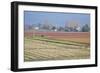 Red and Gold Fields II-Dana Styber-Framed Photographic Print