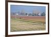 Red and Gold Fields II-Dana Styber-Framed Photographic Print