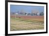 Red and Gold Fields II-Dana Styber-Framed Photographic Print