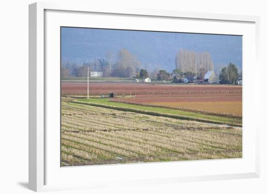 Red and Gold Fields II-Dana Styber-Framed Photographic Print