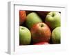 Red and Green Apples-Roy Rainford-Framed Photographic Print