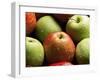 Red and Green Apples-Roy Rainford-Framed Photographic Print