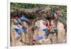 Red-and-green macaw flock feeding, Peru-Bolivia border-Nick Garbutt-Framed Photographic Print