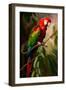 Red and Green Macaw I-Vivienne Dupont-Framed Art Print