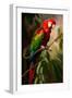 Red and Green Macaw I-Vivienne Dupont-Framed Art Print