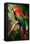 Red and Green Macaw-Vivienne Dupont-Framed Stretched Canvas