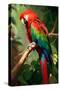 Red and Green Macaw-Vivienne Dupont-Stretched Canvas