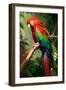 Red and Green Macaw-Vivienne Dupont-Framed Art Print