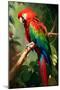 Red and Green Macaw-Vivienne Dupont-Mounted Art Print