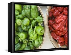 Red and Green Shishito Peppers-Andrea Sperling-Framed Stretched Canvas