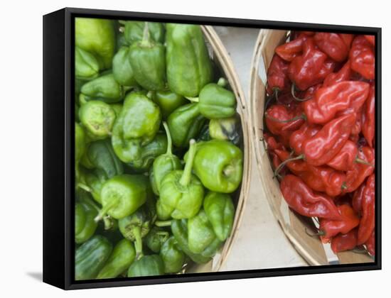 Red and Green Shishito Peppers-Andrea Sperling-Framed Stretched Canvas