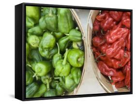 Red and Green Shishito Peppers-Andrea Sperling-Framed Stretched Canvas