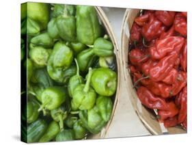 Red and Green Shishito Peppers-Andrea Sperling-Stretched Canvas