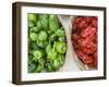 Red and Green Shishito Peppers-Andrea Sperling-Framed Premium Photographic Print