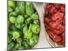 Red and Green Shishito Peppers-Andrea Sperling-Mounted Premium Photographic Print