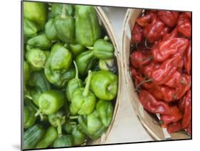 Red and Green Shishito Peppers-Andrea Sperling-Mounted Photographic Print