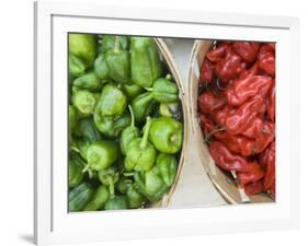 Red and Green Shishito Peppers-Andrea Sperling-Framed Photographic Print