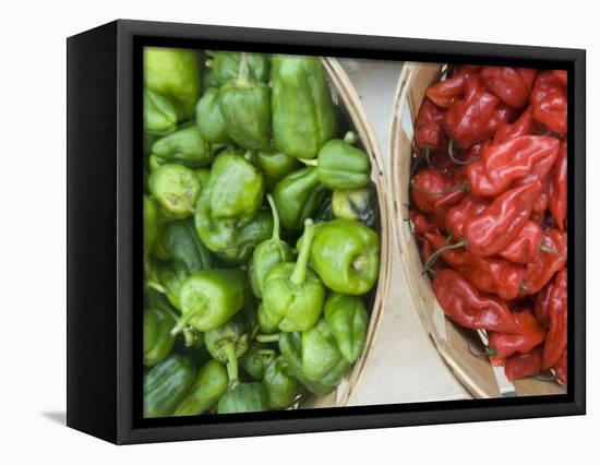 Red and Green Shishito Peppers-Andrea Sperling-Framed Stretched Canvas