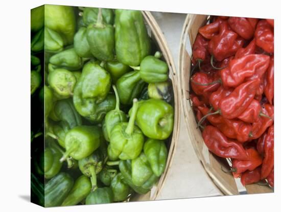 Red and Green Shishito Peppers-Andrea Sperling-Stretched Canvas