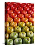 Red and Green Tomatoes-Tracey Thompson-Stretched Canvas