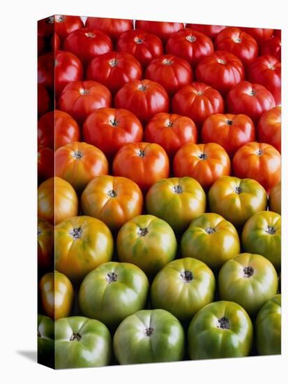 Red and Green Tomatoes-Tracey Thompson-Stretched Canvas