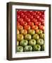 Red and Green Tomatoes-Tracey Thompson-Framed Premium Photographic Print