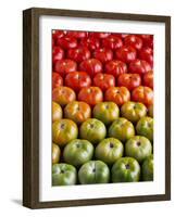 Red and Green Tomatoes-Tracey Thompson-Framed Photographic Print